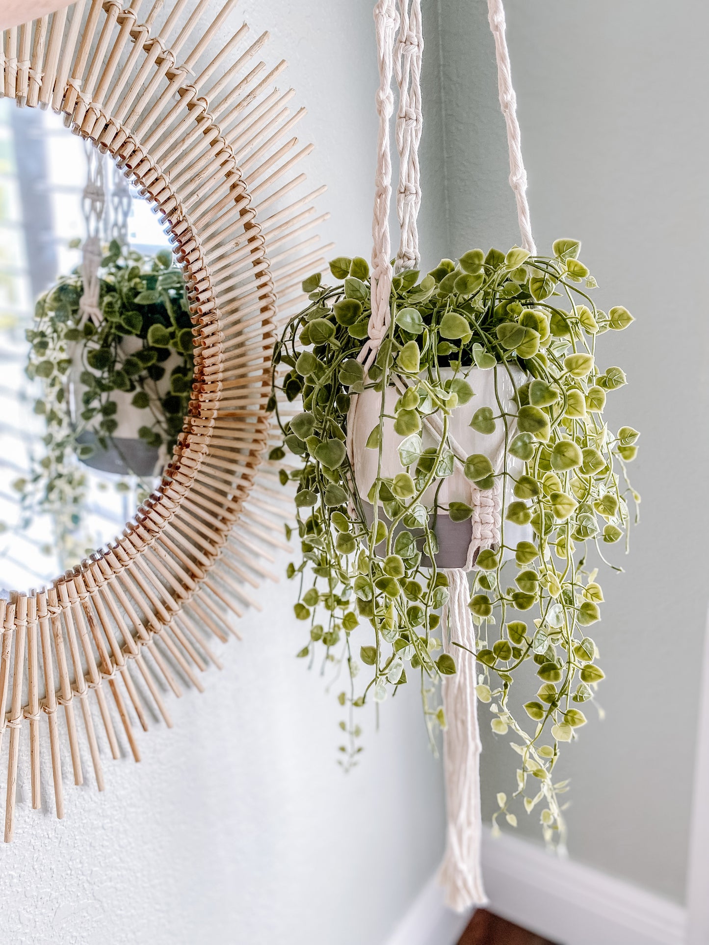 Crossed Style Plant Holder