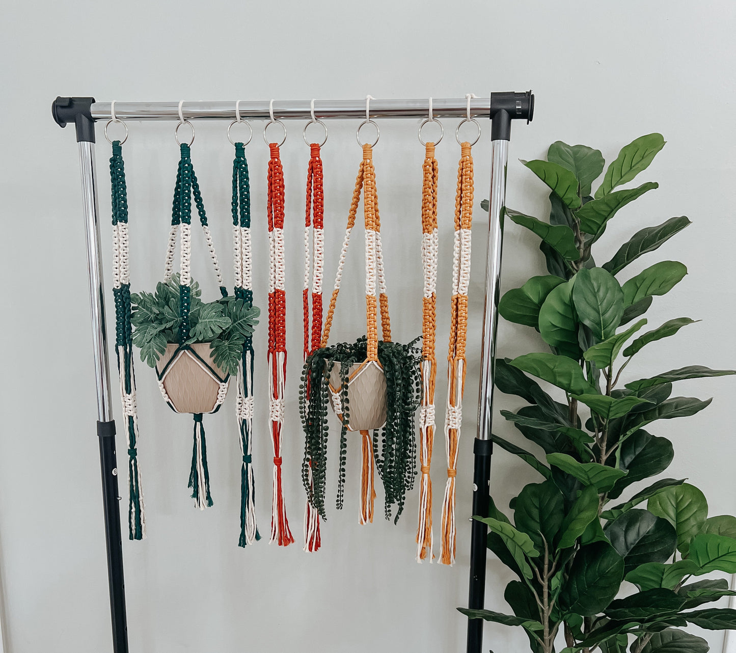 Colorful macrame plant hangers