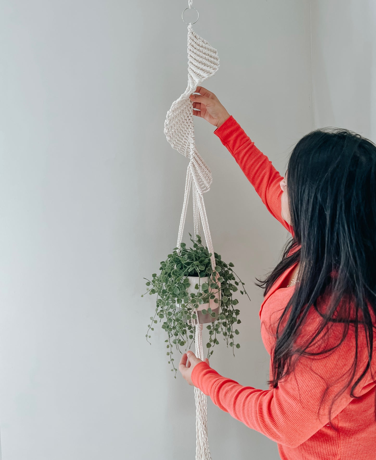 Spiral Plant Holder