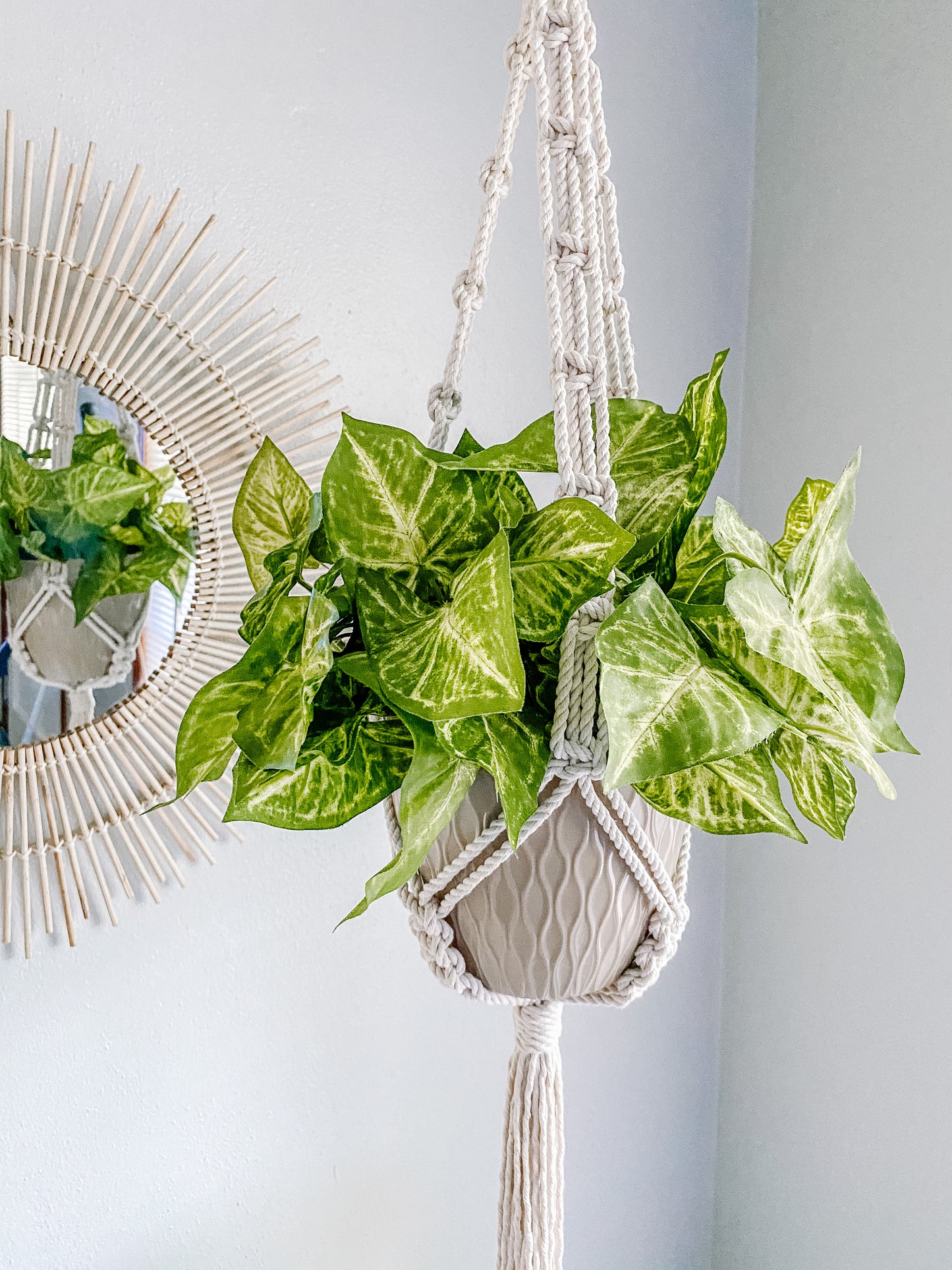 Chain Style Plant Holder