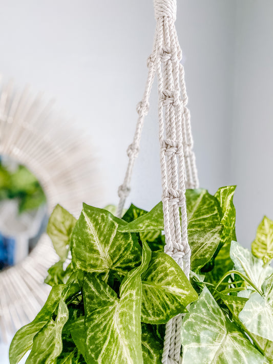 Chain Style Plant Holder