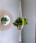 Twiste Style Plant Holder