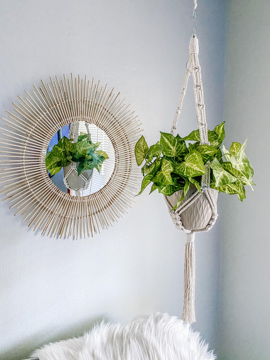 Chain Style Plant Holder